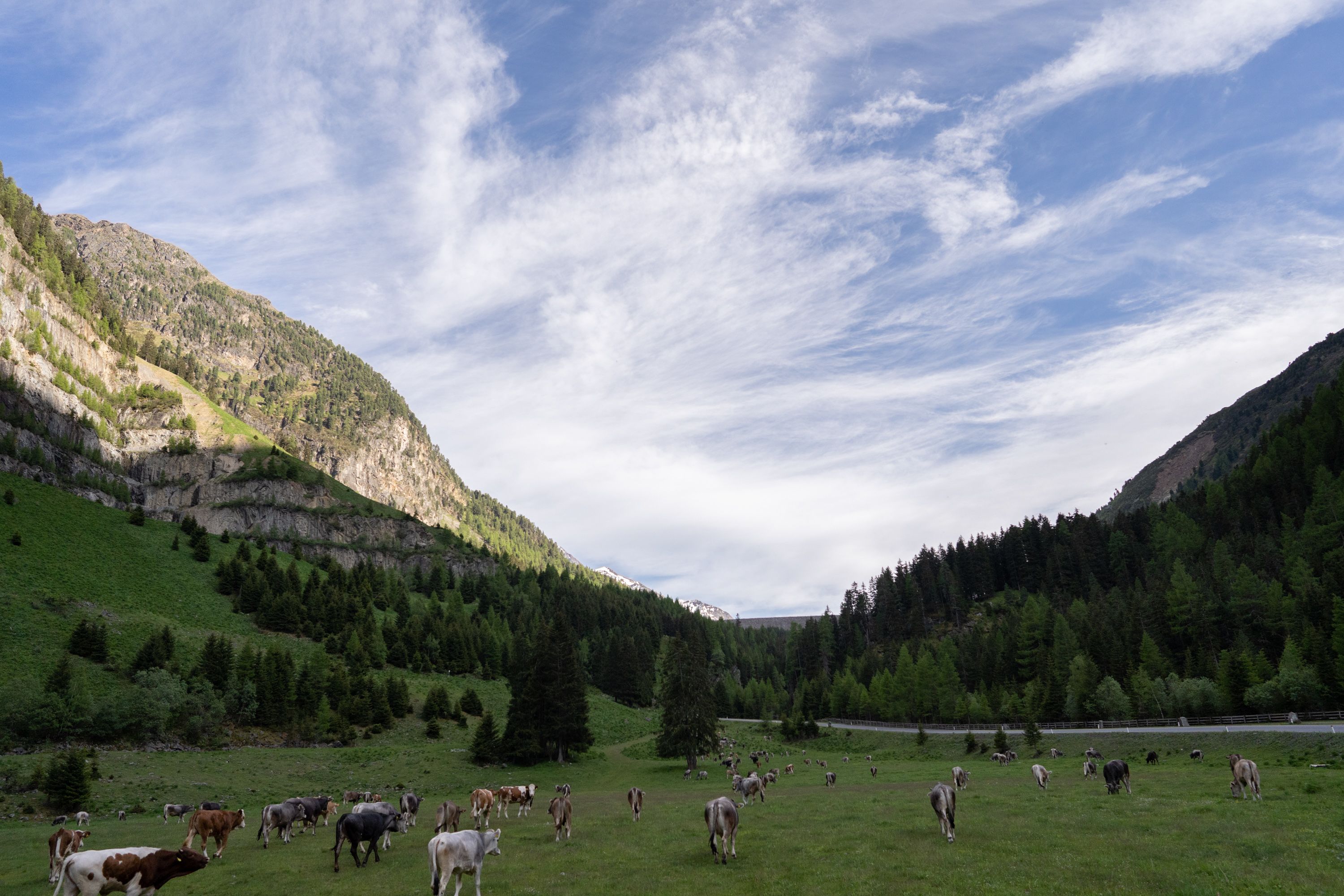 Beinahe am Ziel: Bei der Staumauer des Gepatschspeichers liegt die erste Hochweide. 